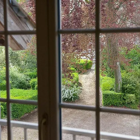 Chateau De Joyeux - Gites Room photo